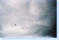 tn00004.jpg