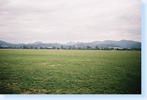 tn00005.jpg