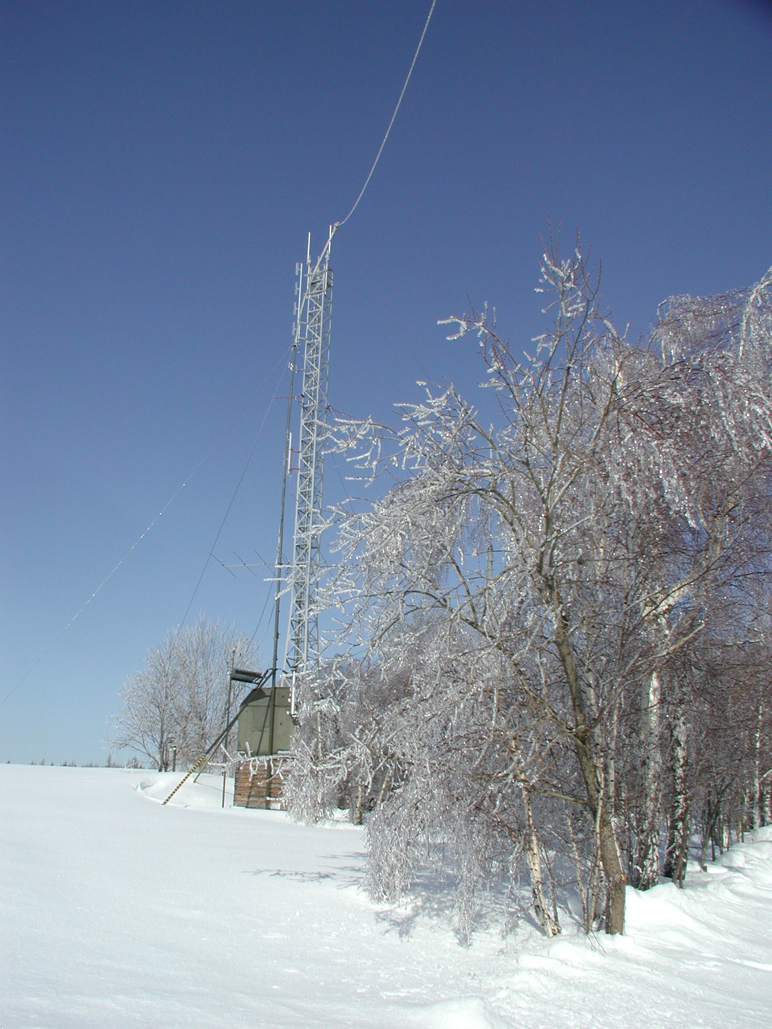 img00002.jpg