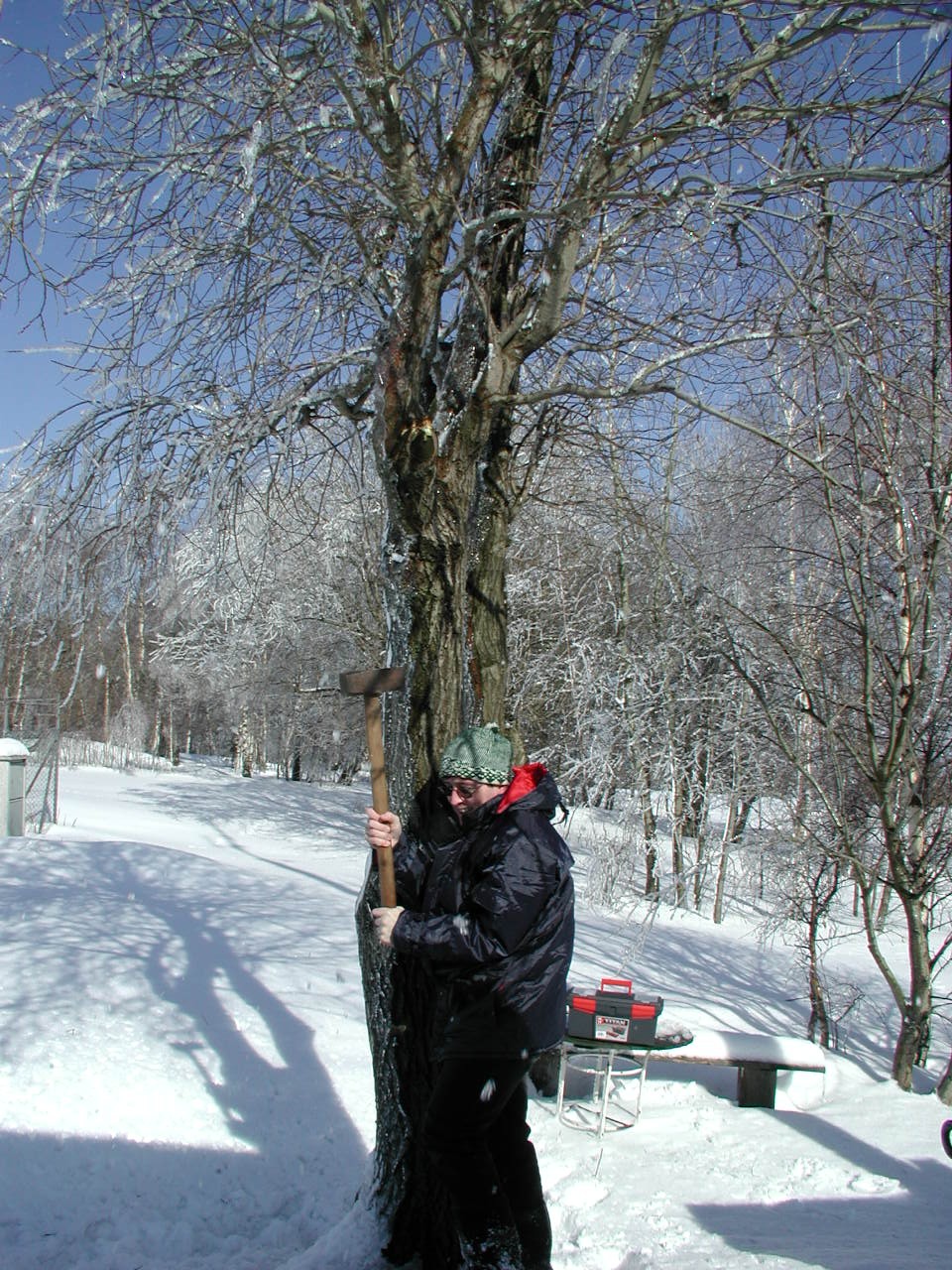img00003.jpg