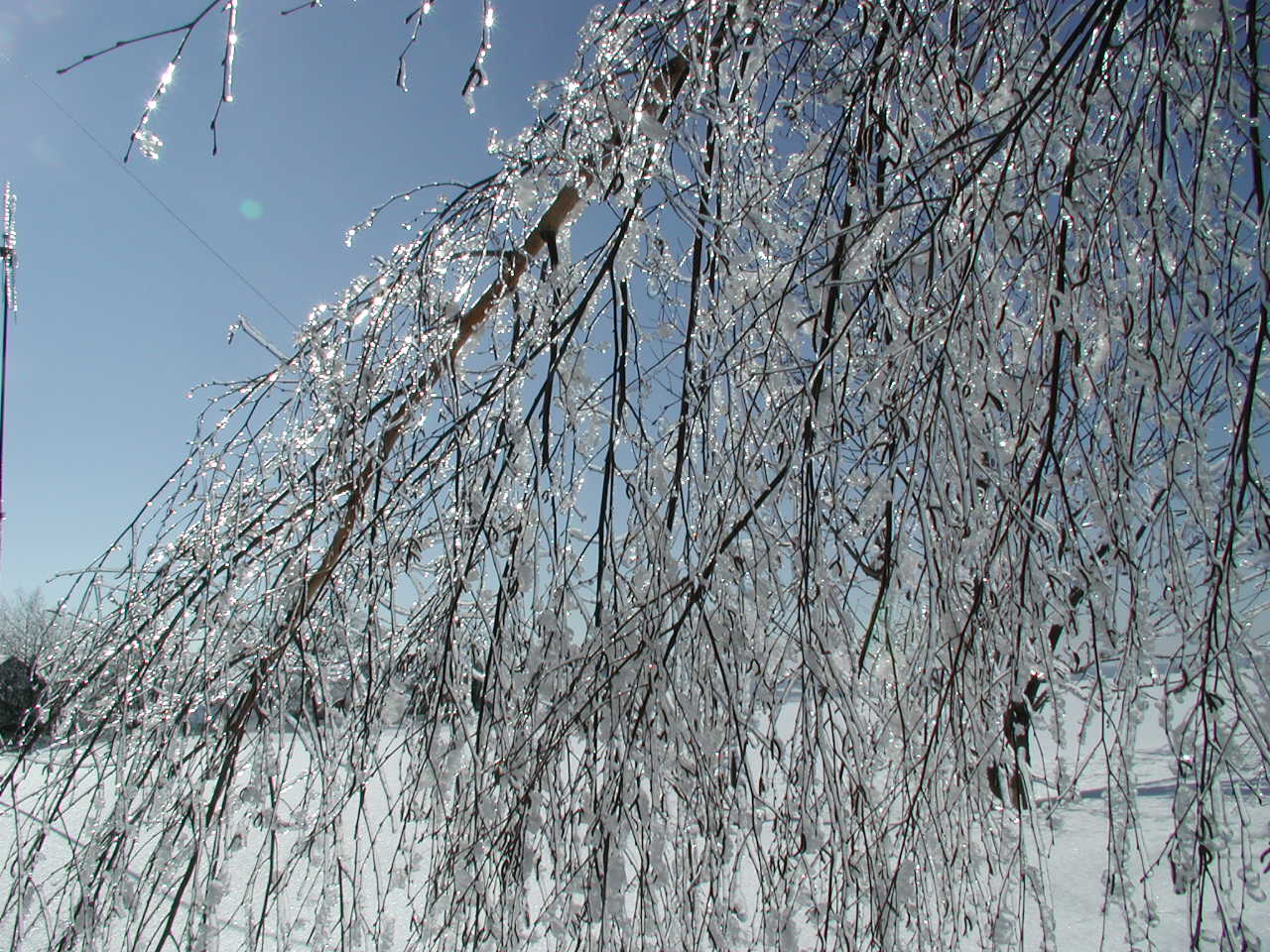 img00007.jpg