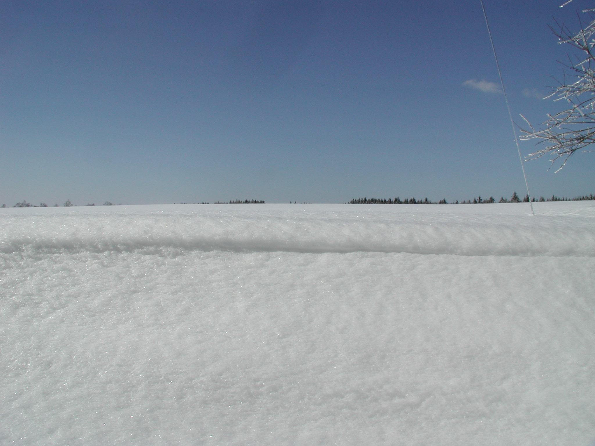 img00008.jpg