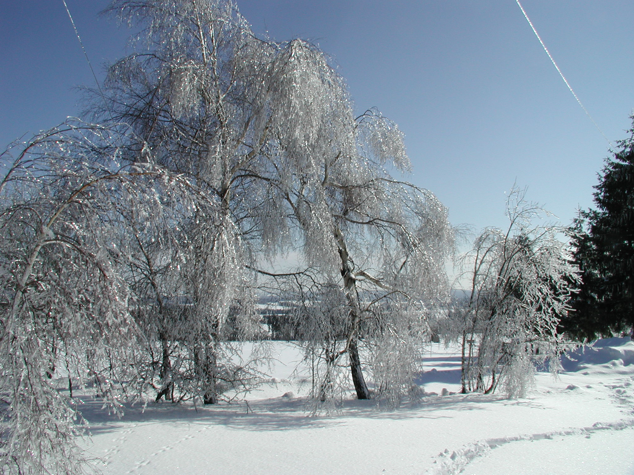 img00010.jpg