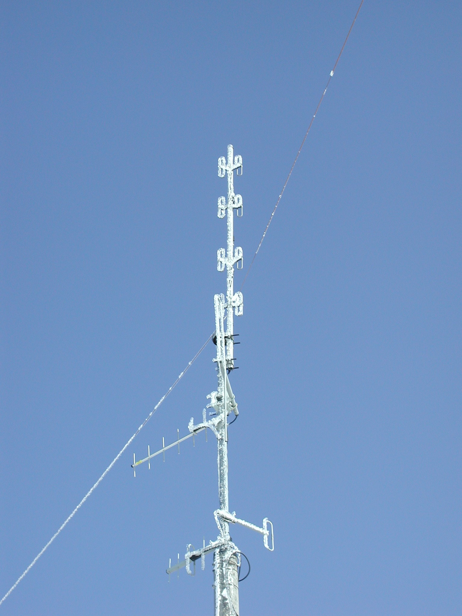 img00011.jpg
