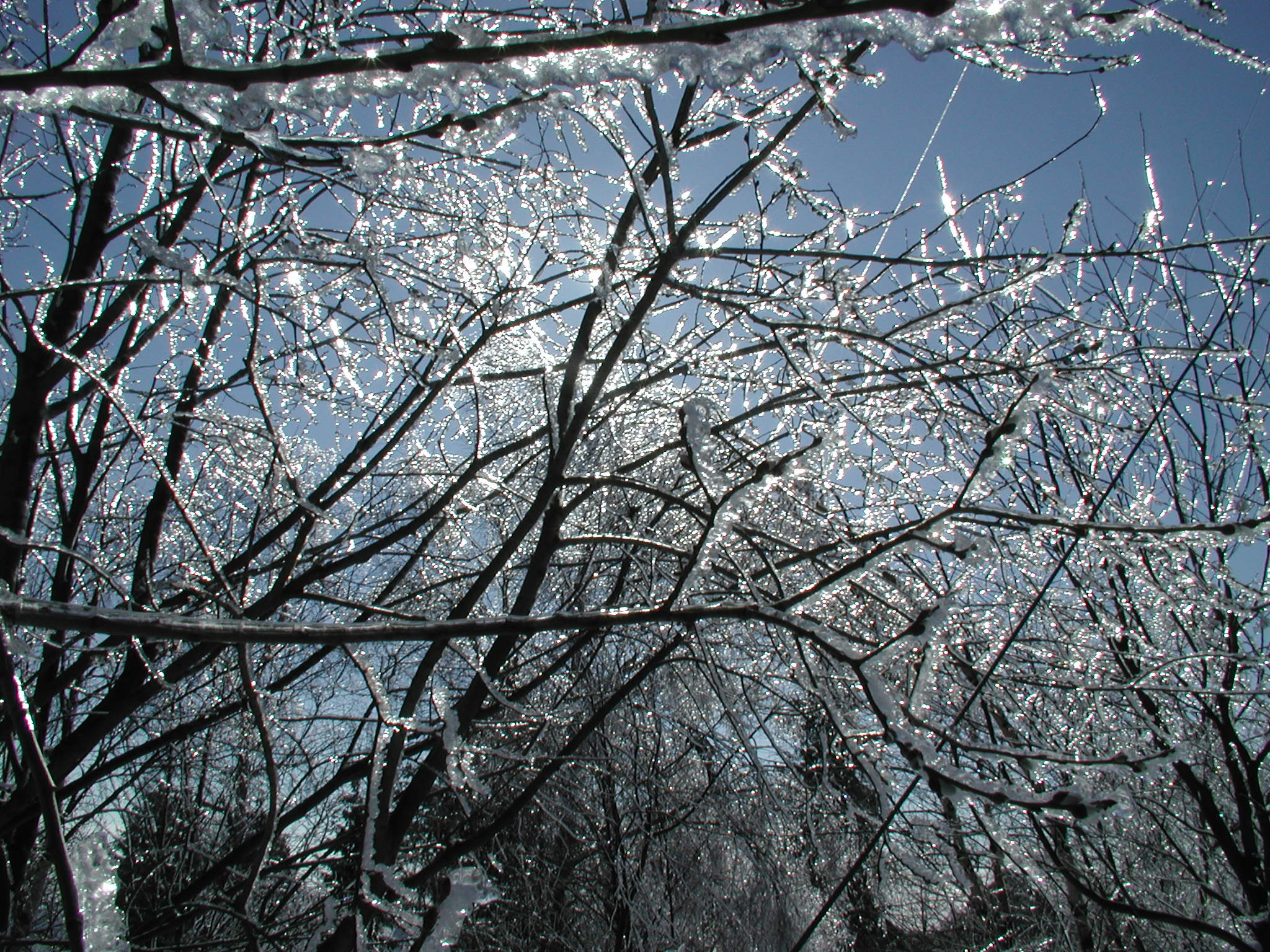 img00013.jpg