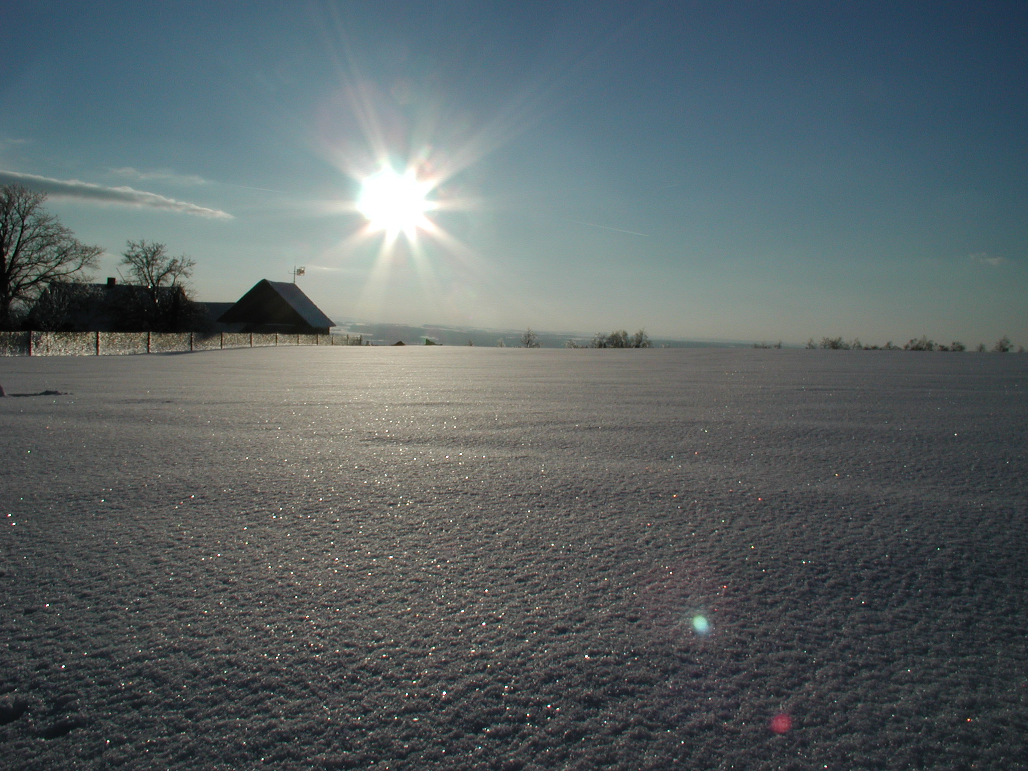 img00015.jpg