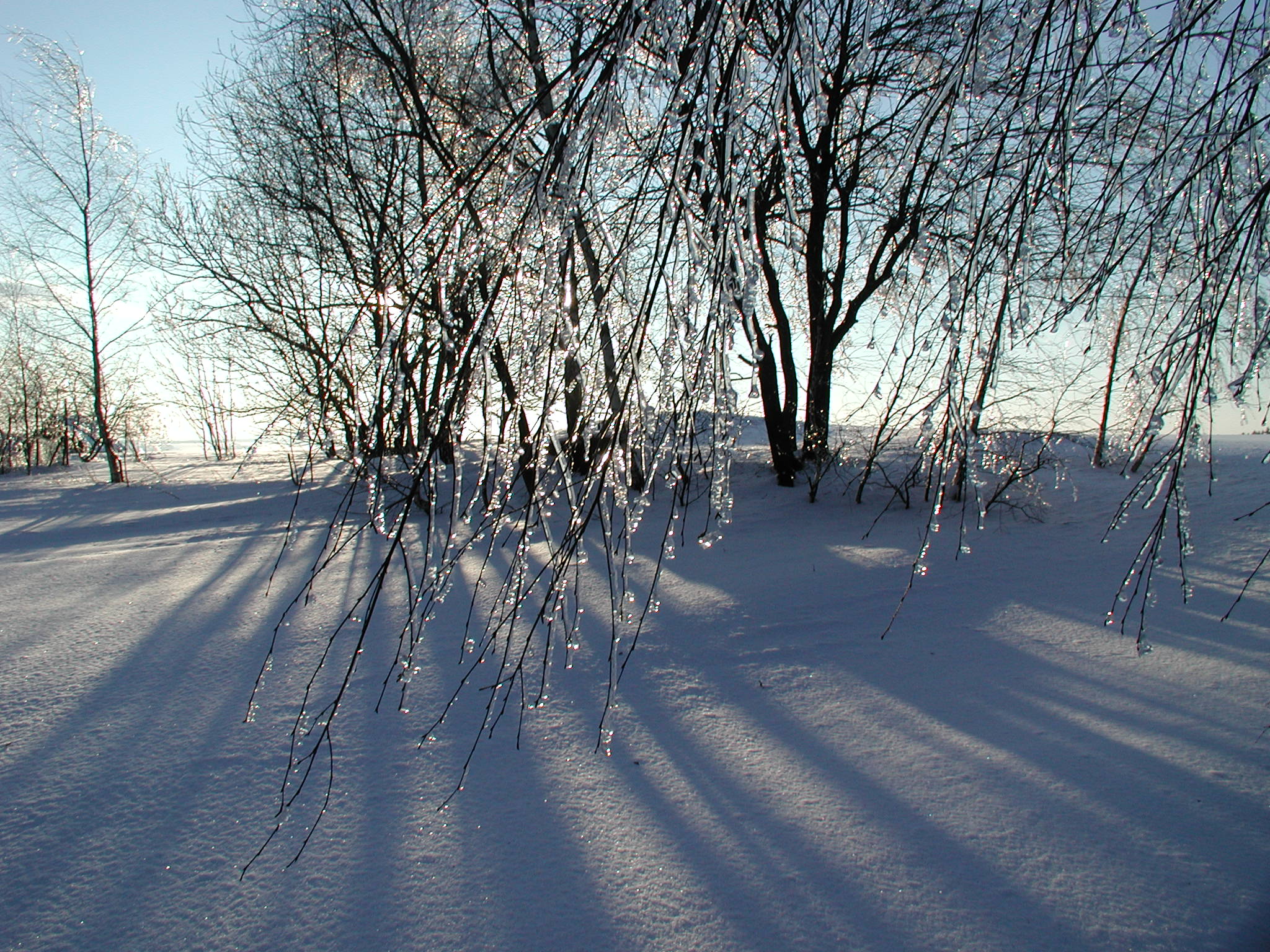 img00016.jpg