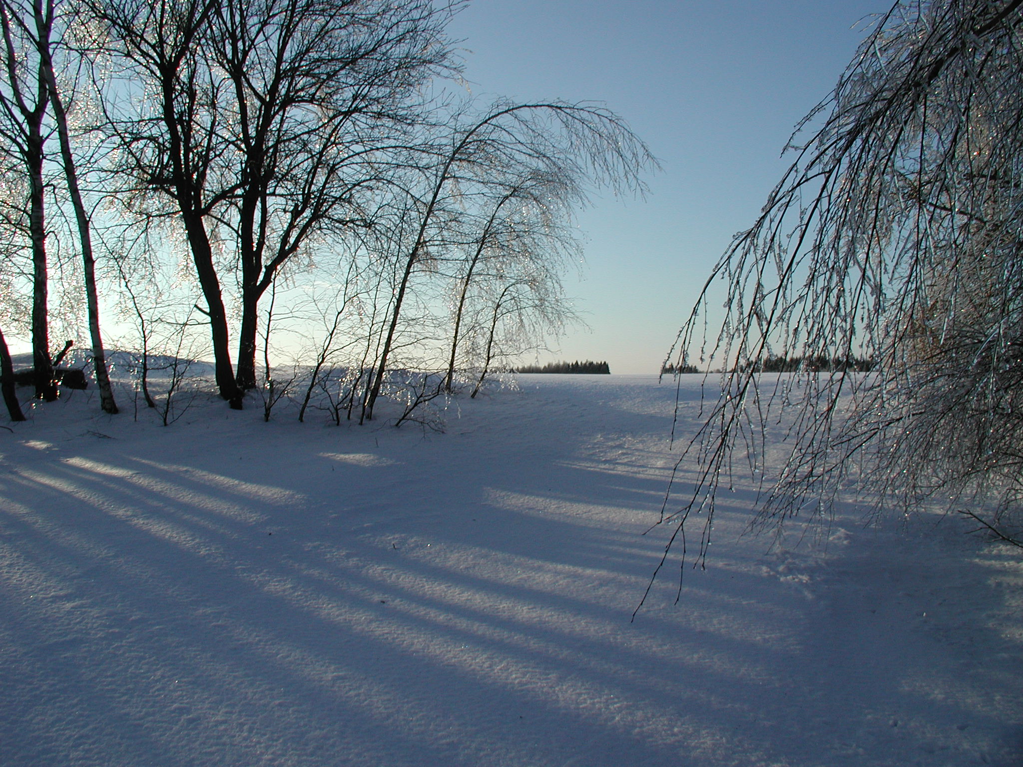 img00017.jpg