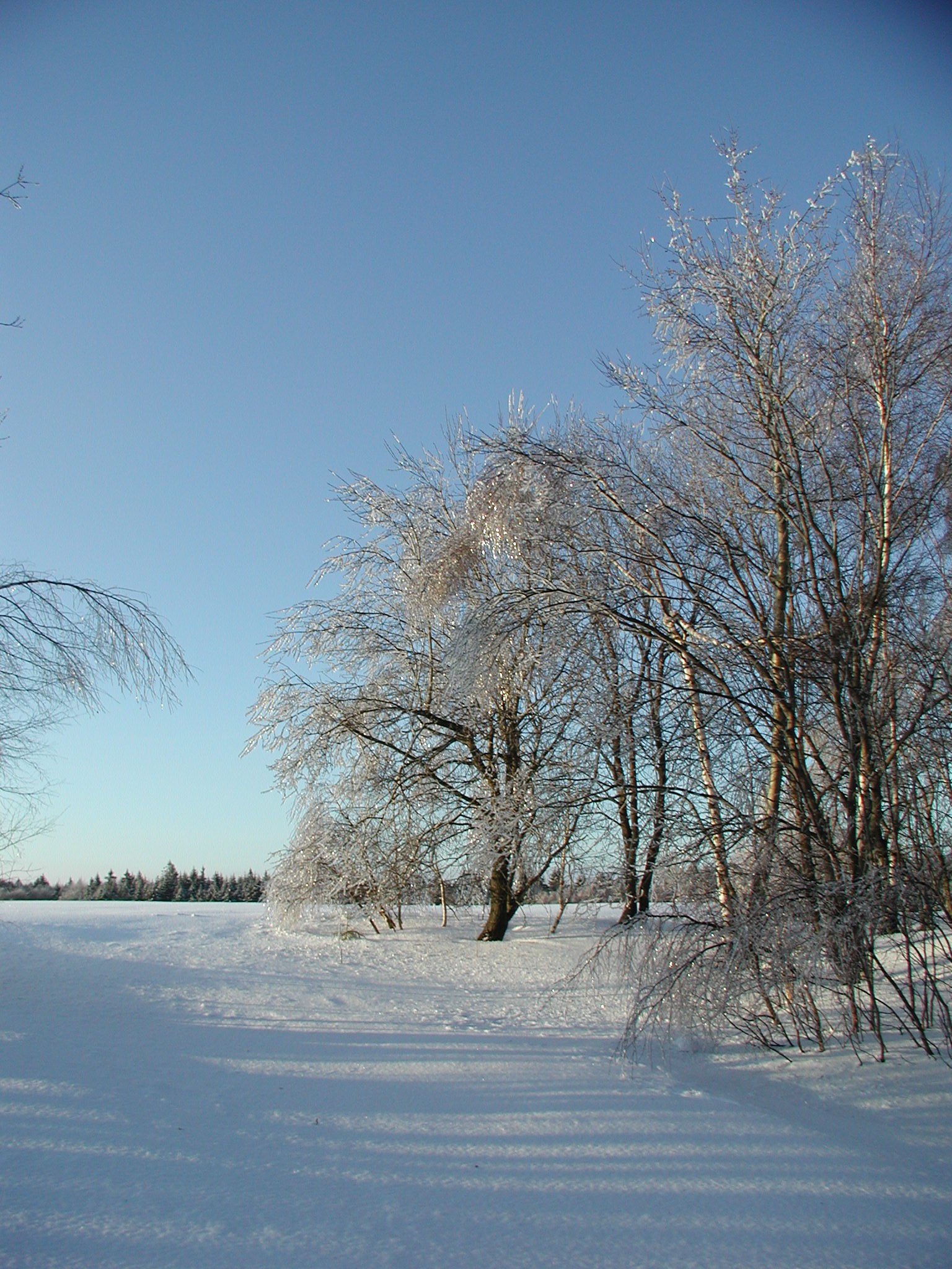 img00018.jpg