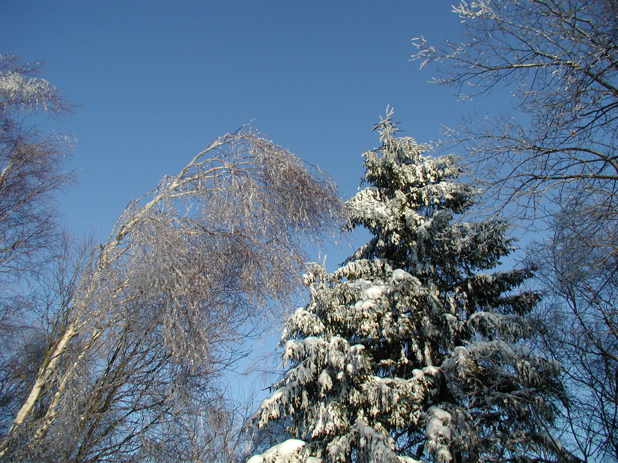 img00019.jpg