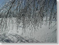 tn00006.jpg