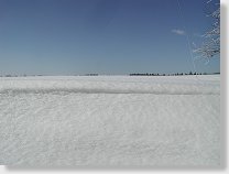 tn00008.jpg