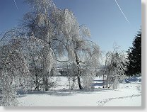 tn00010.jpg