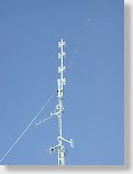 tn00011.jpg