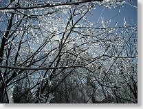 tn00013.jpg