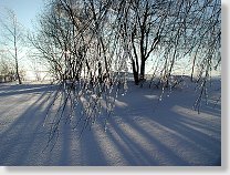 tn00016.jpg