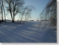 tn00017.jpg
