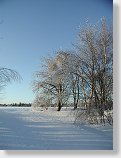 tn00018.jpg