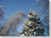 tn00019.jpg